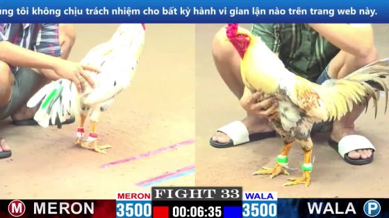 TRẬN 33 CPC1 11/3/2025 : ANH TÝ SG VS ANH TÝ VT  ( XỔ : ĐỒNG XỔ 30