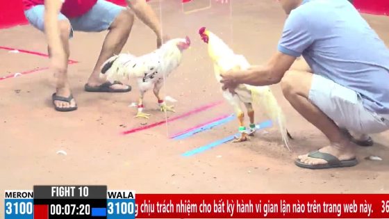 TRẬN 10 CPC3 12/3/2025 : ANH TUẤN ĐỨC HÒA vs ANH MINH VŨNG TÀU ( XỔ : ĐỒNG XỔ 30 TRIỆU